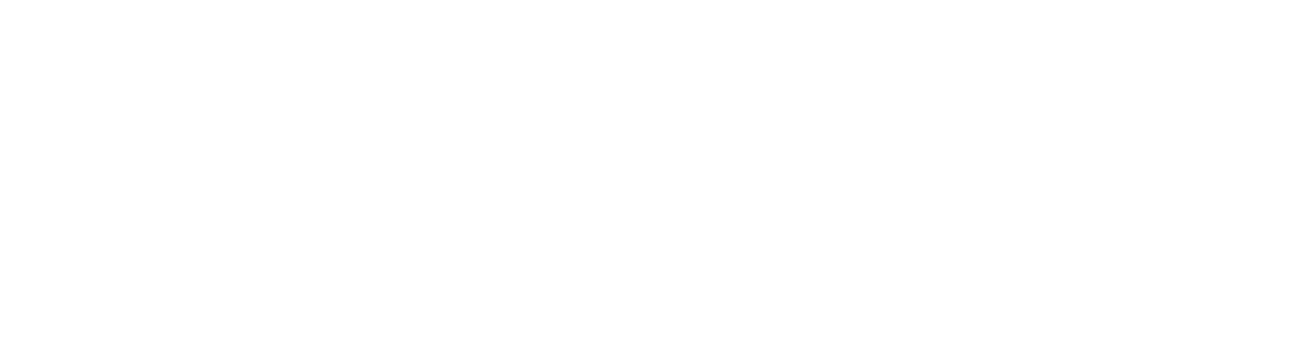 Frizzlife